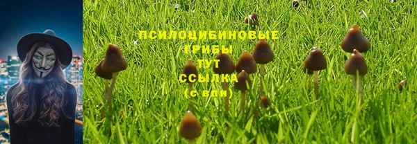 ALPHA-PVP Михайлов