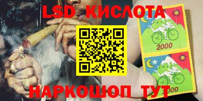 дживик Кимры