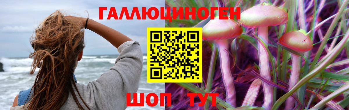 закладка  Вход с VPN  Усть-Джегута  Псилоцибиновые грибы прущие грибы  Галлюциногенные грибы GOLDEN TEACHER 